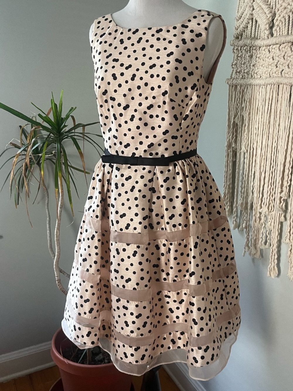 TAYLOR brand size 2 tan with polka dress sheer detail